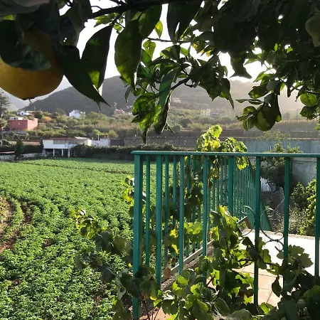 Homestay Chalet Ecowine Vega de San Mateo