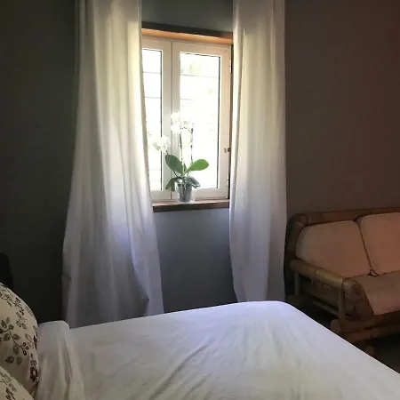 Chalet Ecowine Homestay